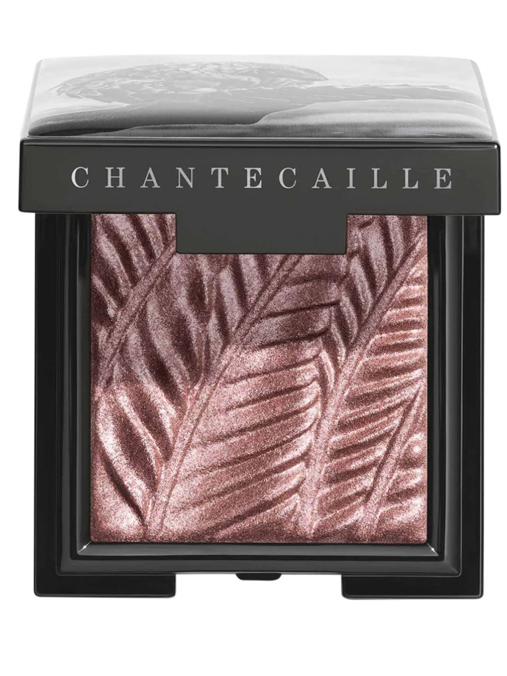 Chantecaille Luminescent Eye Shadow - Pangolin